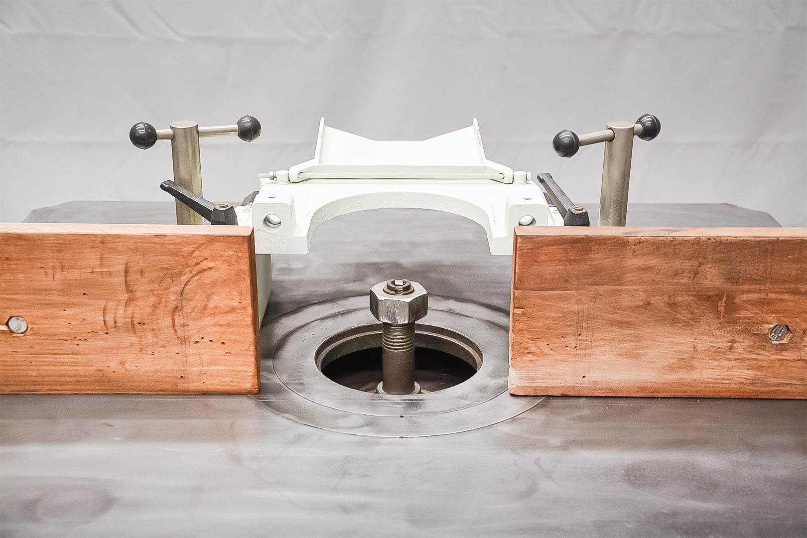IWM Tx-1 Spindle Moulder (Fully Serviced) - Image 11